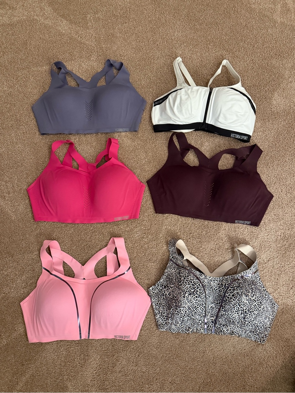Women's High-Support Sports Bra - Multiple Colors